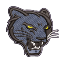 Mahi Digitizing – Precision in Every Stitch