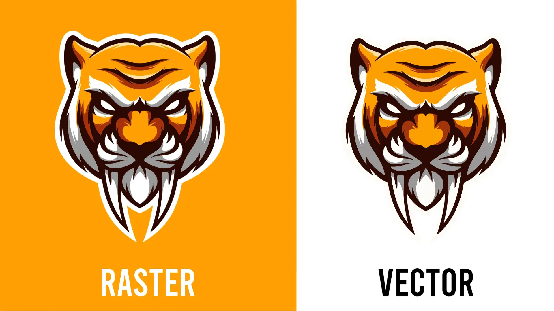 Image to Vector vs. Raster: Which One Should You Use?
