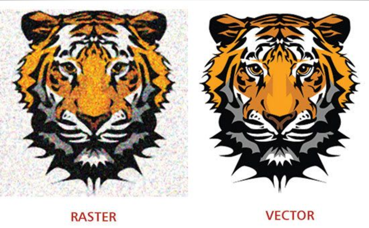 A Step-by-Step Guide to Converting JPG to Vector for Beginners